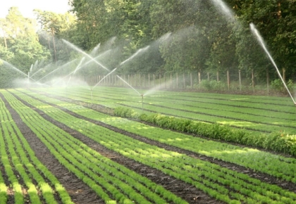 Thiết Bị Tưới Gia Lai – Giải Pháp Hiệu Quả Cho Nông Nghiệp Hiện Đại