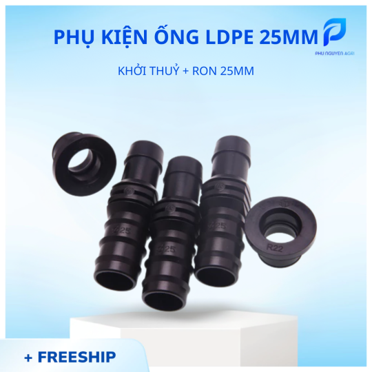 KHỞI THỦY + RON 25MM