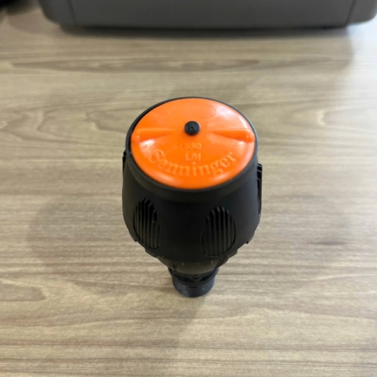 Béc Queen Tưới Phủ